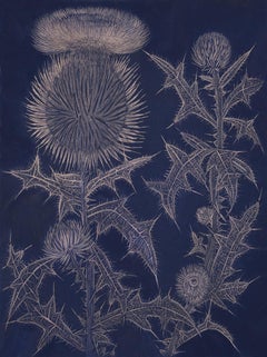 Blue Thistle, goldpoint botanical still life drawing