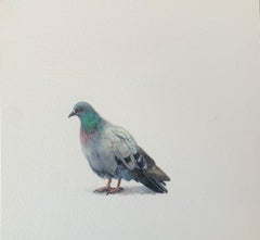 Dina Brodsky, Pigeon 2, Miniature ink, gouache, and watercolor on paper