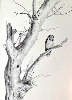 Untitled Tree 1, realist ballpoint pen still life drawing, 2021