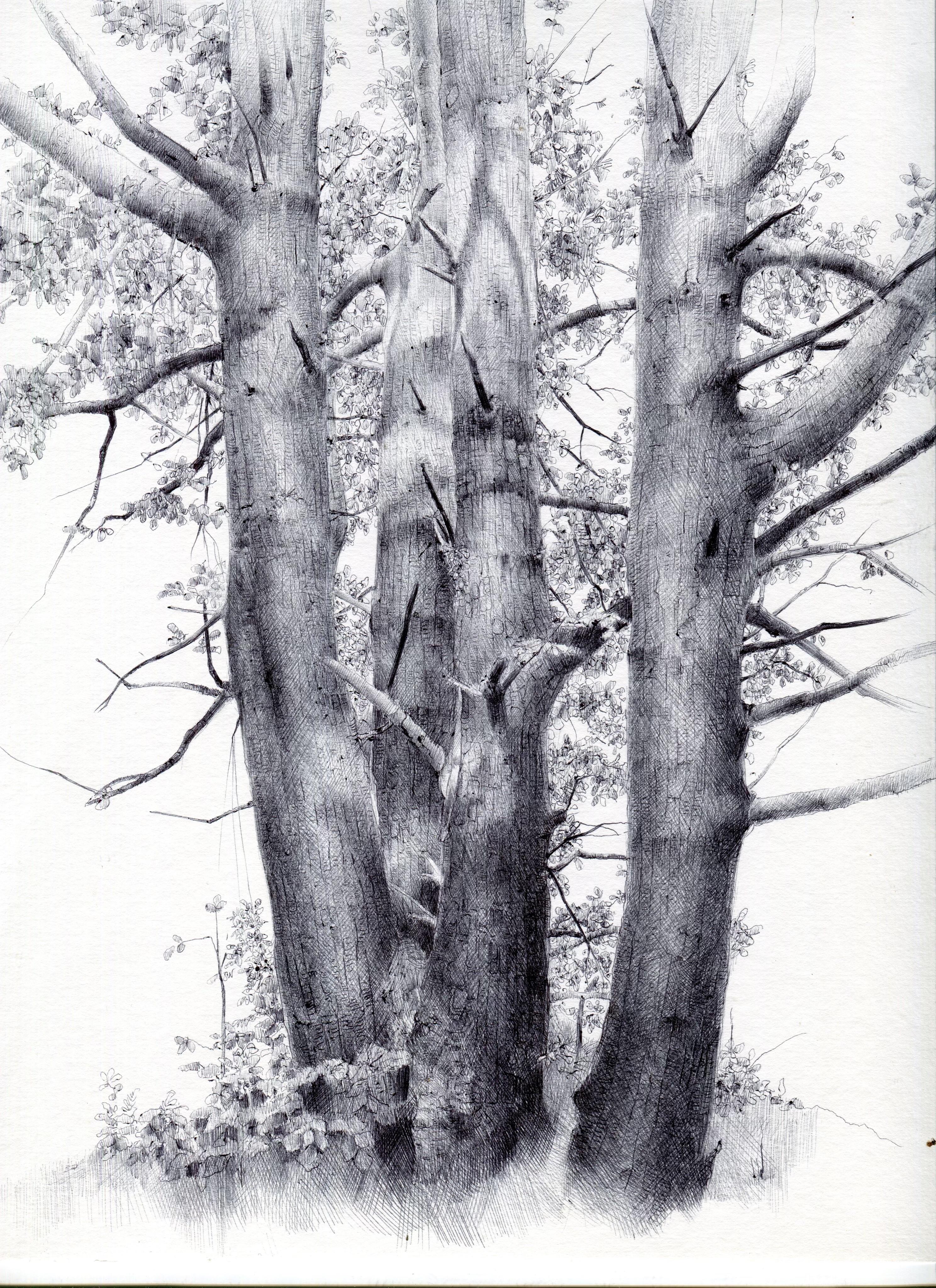 Dina Brodsky Still-Life – Ohne Titel Baum 3, realistische Kugelschreiber-Stilllebenzeichnung, 2021