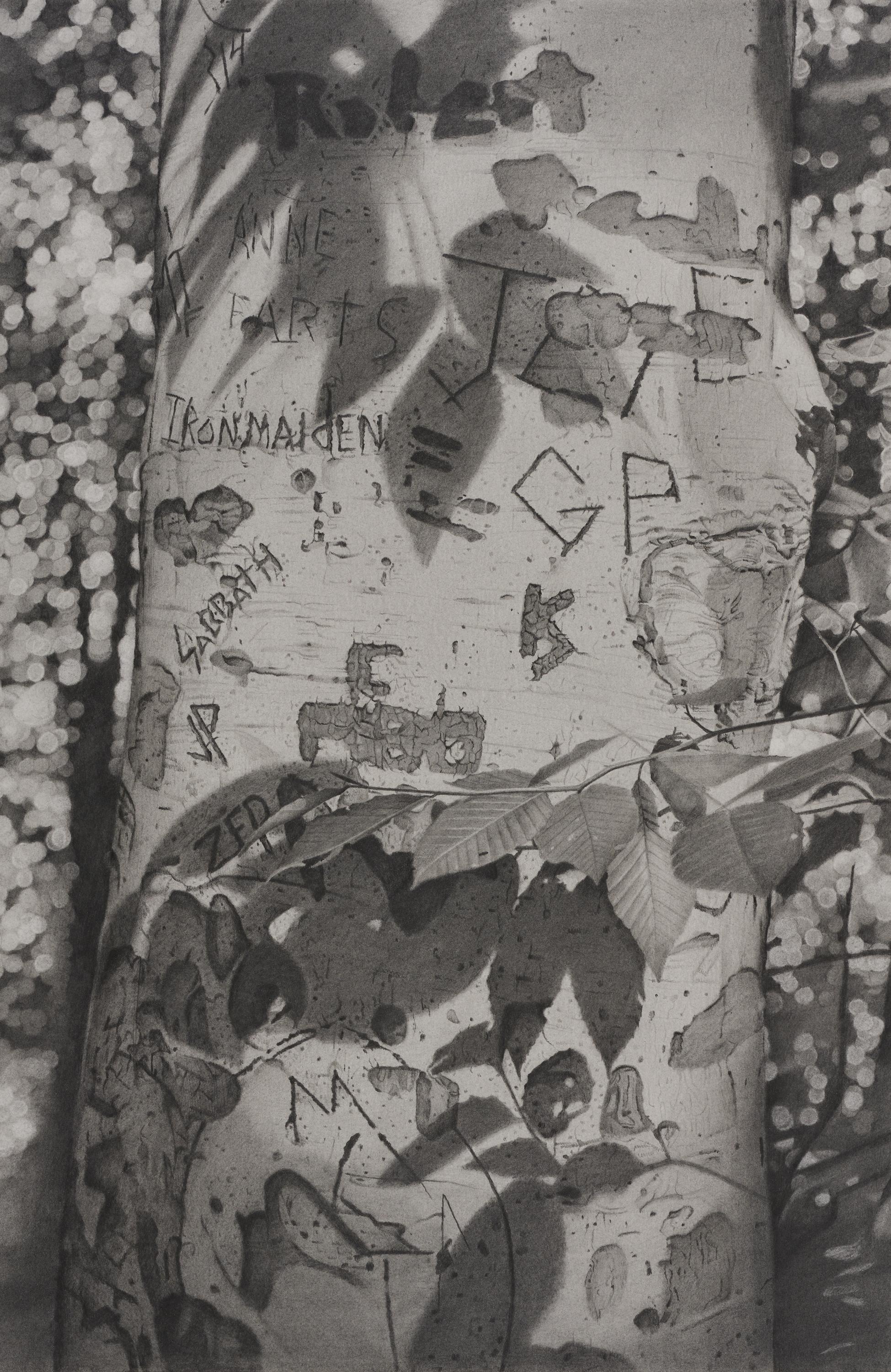 Mary Reilly Landscape Art - Graffiti Tree 5, photorealist graphite landscape drawing, 2022