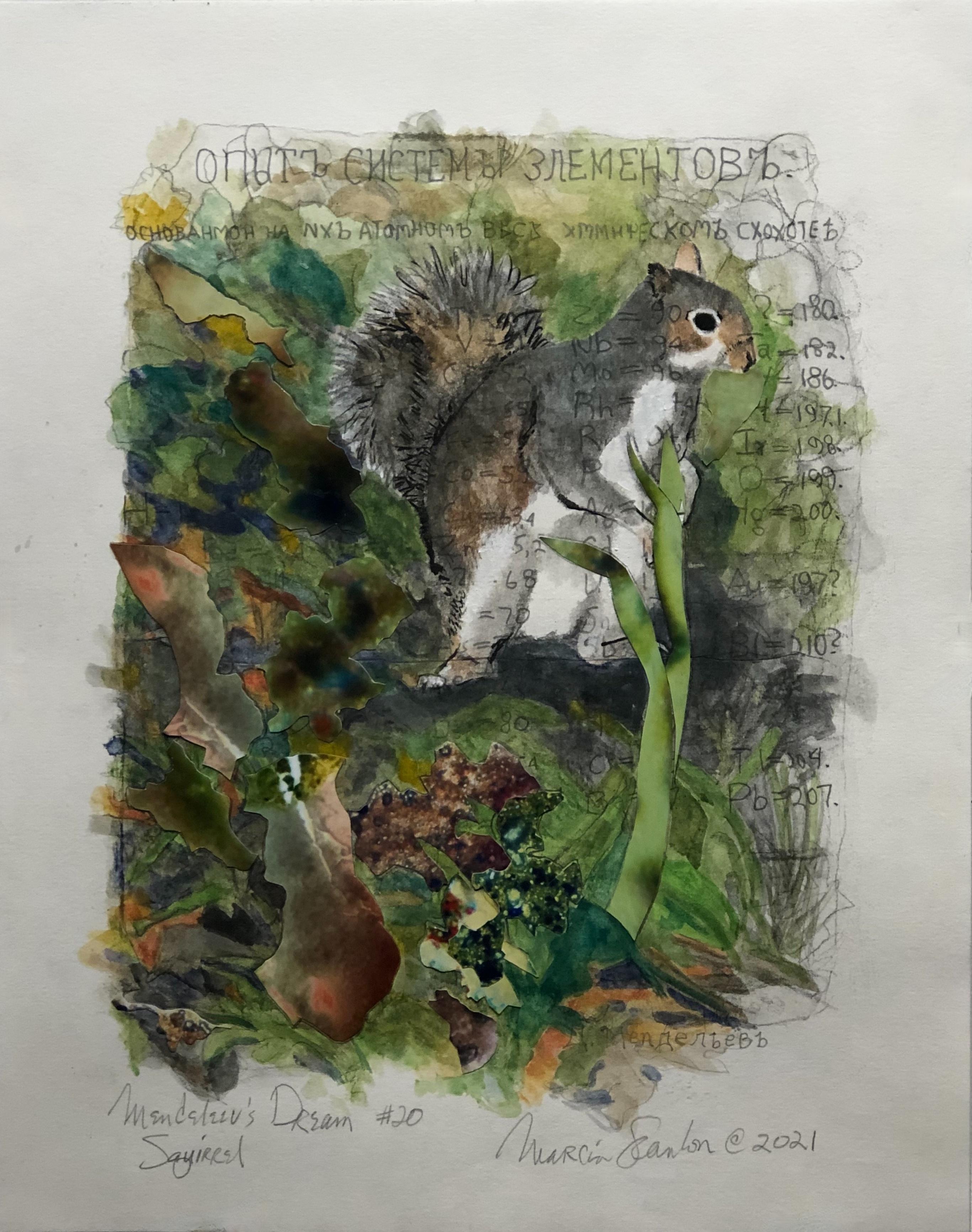 Marcia Scanlon Animal Art - Squirrel,  Mendeleev’s Dream Series, Watercolor, Pencil, Ink on Layered Paper