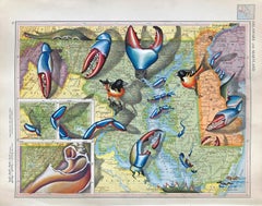 crayon Chesapeake-a-boo, gouache et graphite sur carte du monde de Rand-McNally de 1946