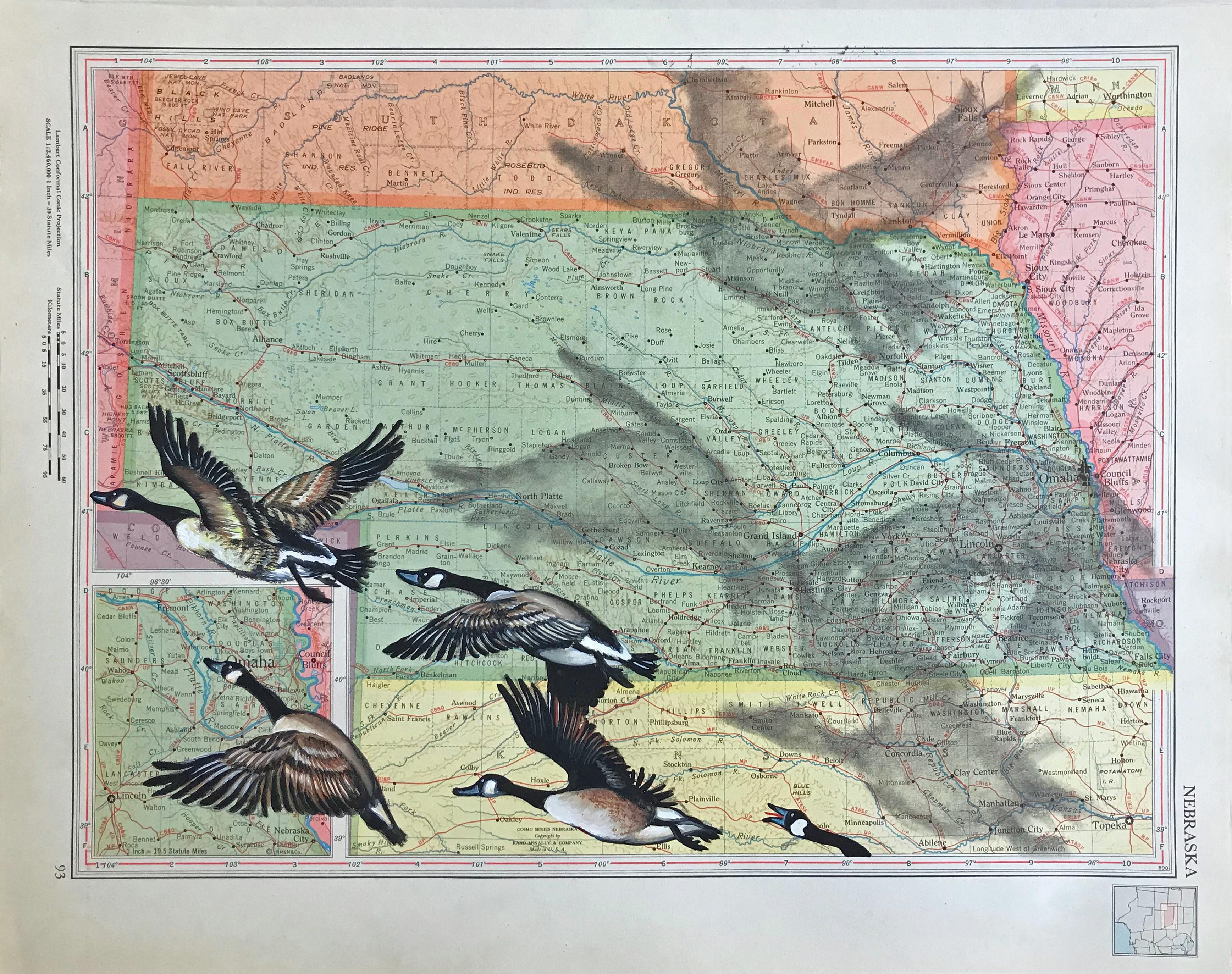 Carol Wax Animal Art - Fly-Over State, Gouache, watercolor and pencil 1946 Rand-McNally World Atlas Map