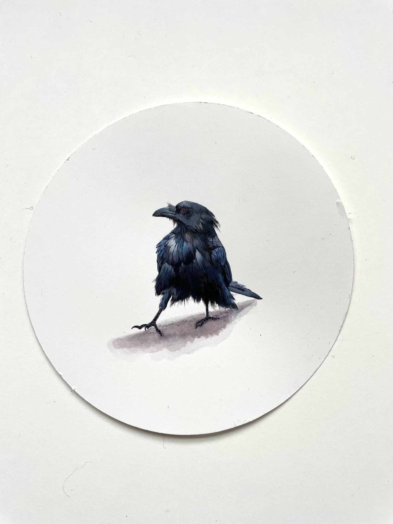 Raven 1, realist gouache on paper miniature bird portrait, 2023
