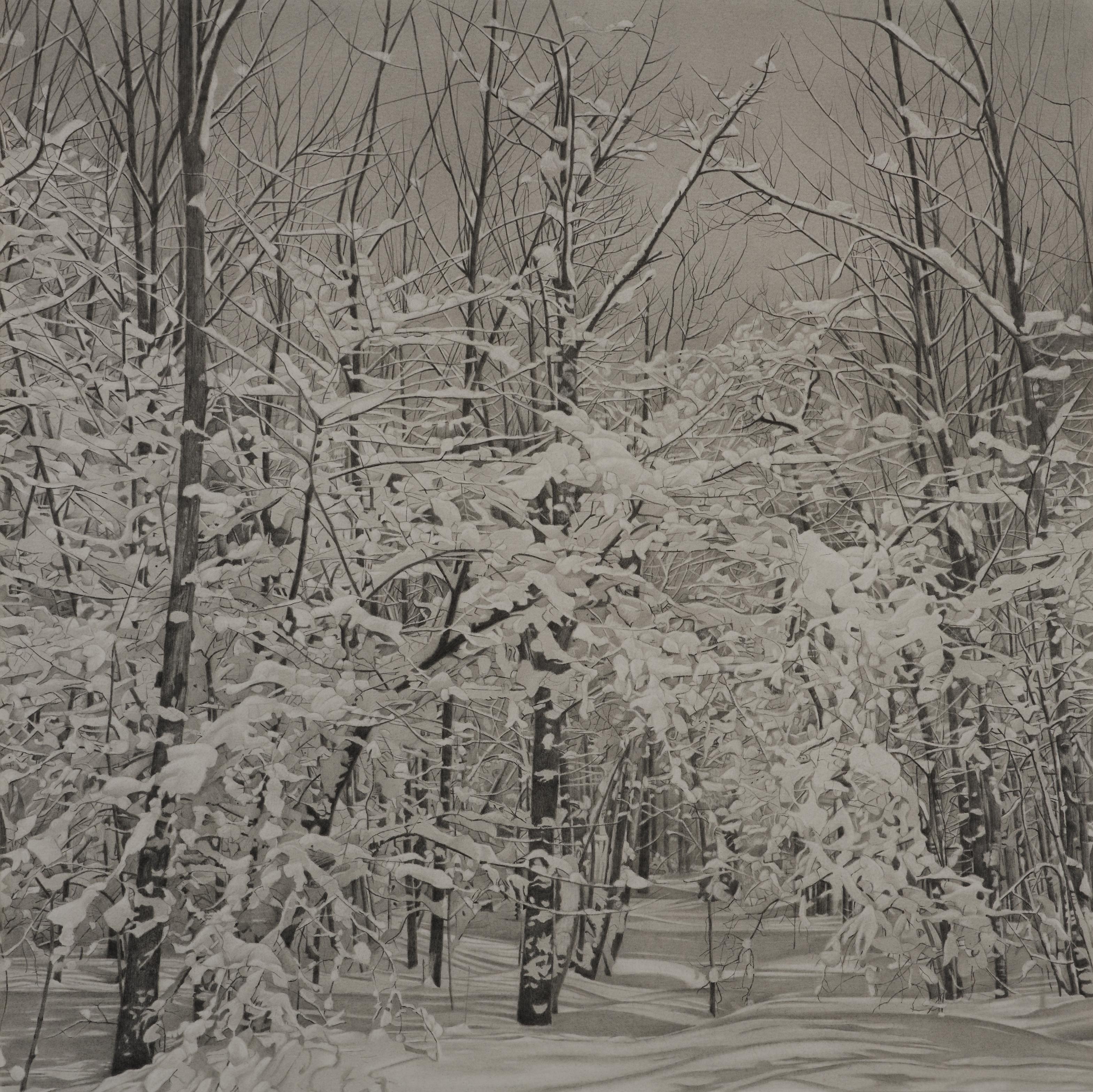 Landscape Art di Mary Reilly - Wood Wood, disegno di paesaggio fotorealista in grafite, 2023