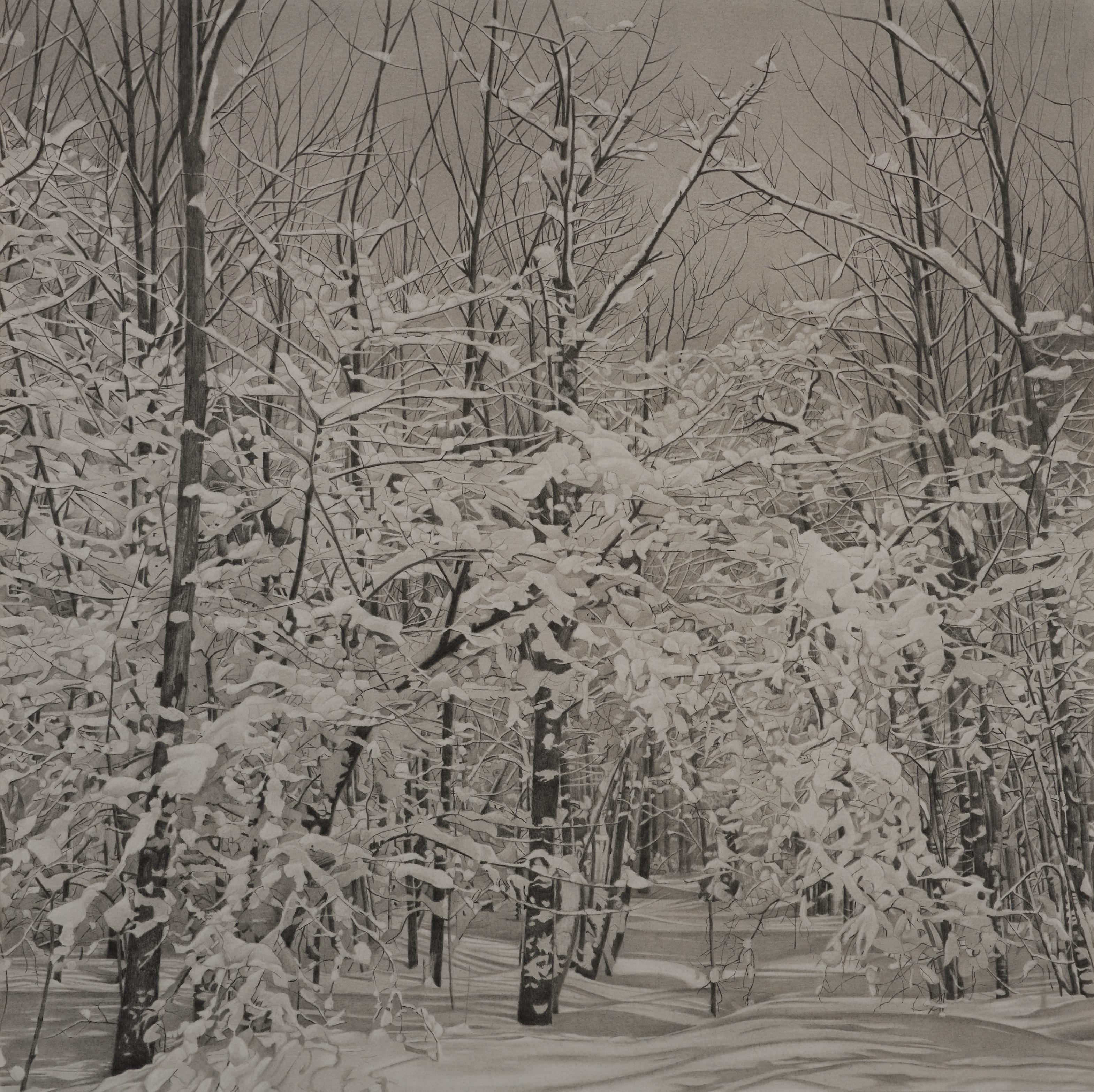 Mary Reilly Landscape Art – Snowy Woods, fotorealistische Graphit-Landschaftszeichnung, 2023