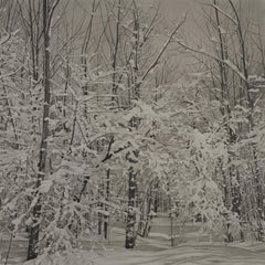 Snowy Woods, photorealist graphite landscape drawing, 2023