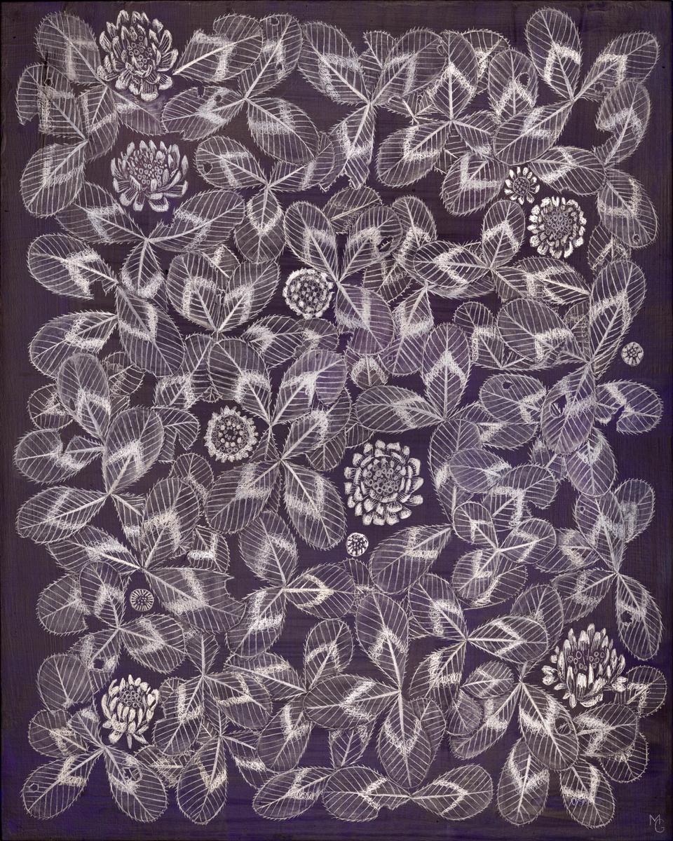 Still-Life Margot Glass - Trèfle 4, 2023, mine de plomb sur panneau préparé, dessin de nature morte botanique