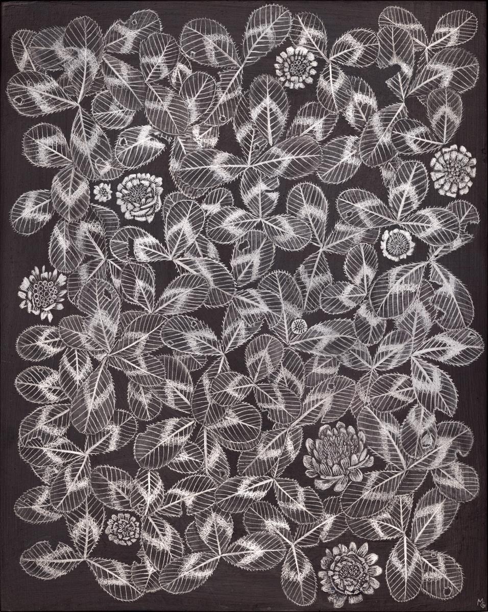 Kleeblatt 3, 2023, Graphit auf vorbereiteter Tafel, botanische Stillleben-Zeichnung