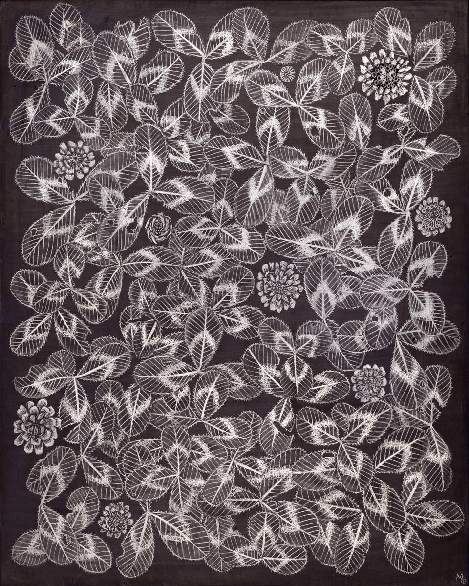 Margot Glass Still-Life – Kleeblatt 2, 2023, Graphit auf vorbereiteter Tafel, botanische Stillleben-Zeichnung