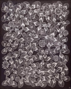 Clover 2, 2023, graphite on prepared panel, botanical still life drawing