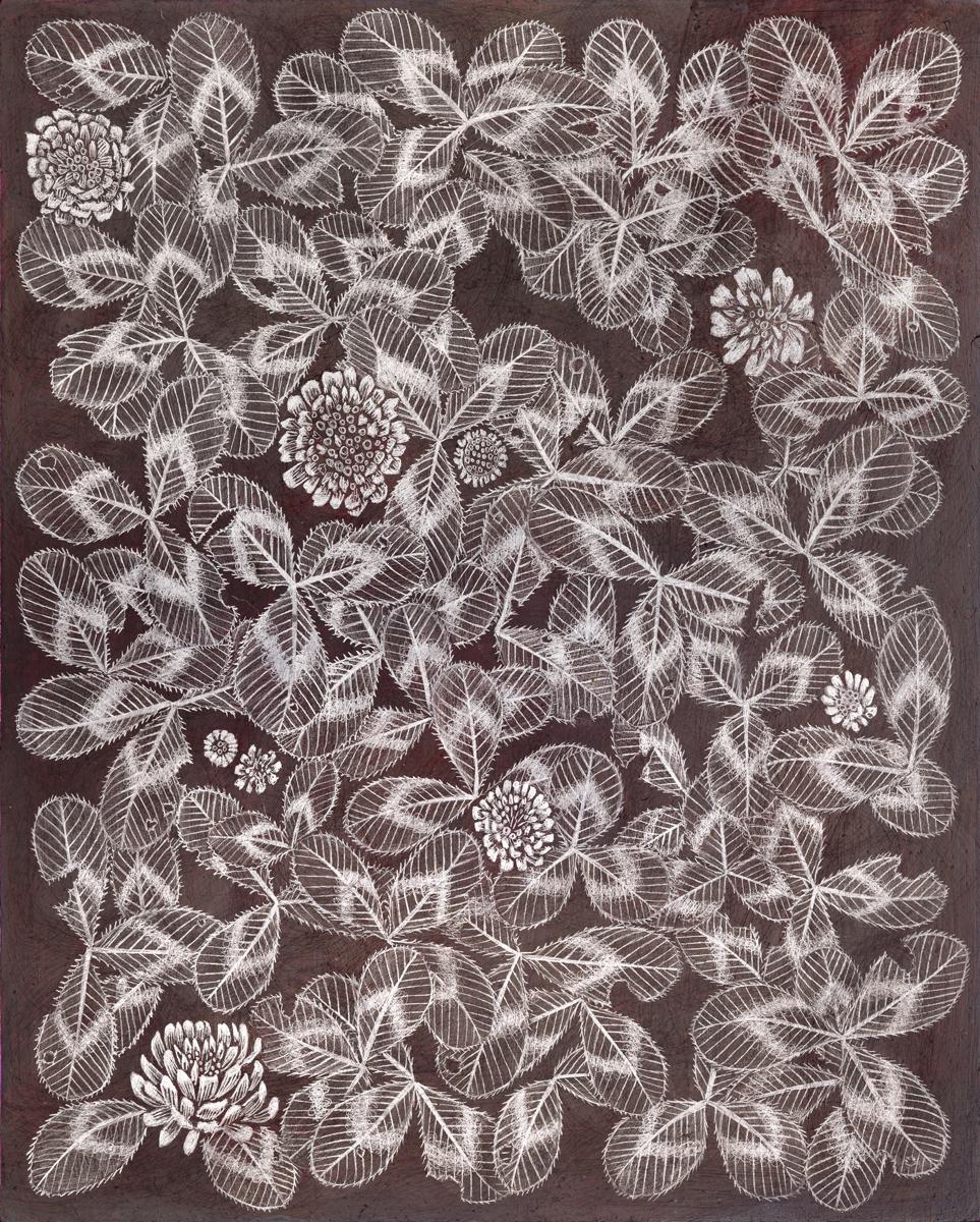 Still-Life Margot Glass - Trèfle 1, 2023, graphite sur panneau préparé, dessin de nature morte botanique