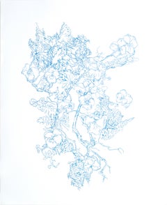 Kathleen Beausoleil, Springs, 2023, inchiostro blu su carta, disegno di paesaggio