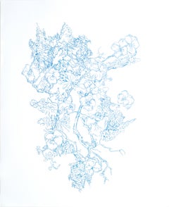 Kathleen Beausoleil, Springs, 2023, blue ink on paper, landscape drawing