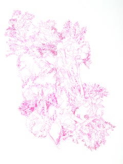 Kathleen Beausoleil, Transverse 2023, rosa Tinte auf Papier, Landschaftszeichnung