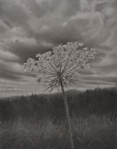 Encaje de la Reina Anne, dibujo de árbol en blanco y negro, lápiz de grafito sobre papel