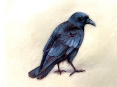 Corbeau, peinture réaliste contemporaine miniature d'un oiseau noir avec des tons bleus