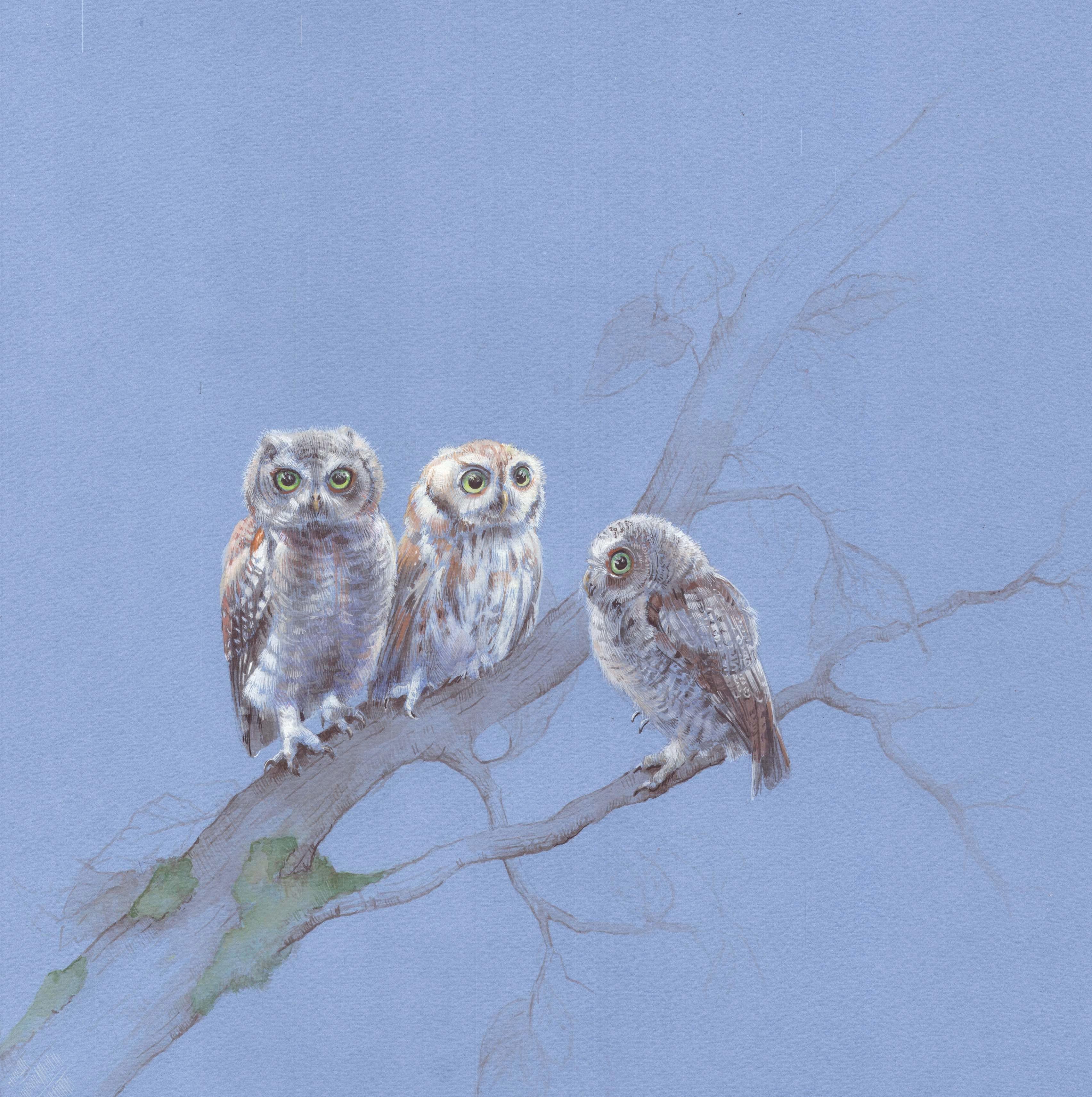 Dina Brodsky Landscape Art - Three Young Owls, Birds Perched on a Branch With a Soft Pale Blue Paper