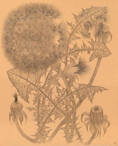 Due denti di leone, delicato e intimo disegno a punta d'argento di flora su carta tonica