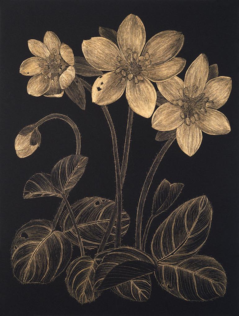 Margot Glass Still-Life – Anemone 2, zeitgenössische realistische botanische Stillleben-Zeichnung