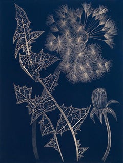 Blue Dandelion with Bud, contemporary realist botanical goldpoint drawing