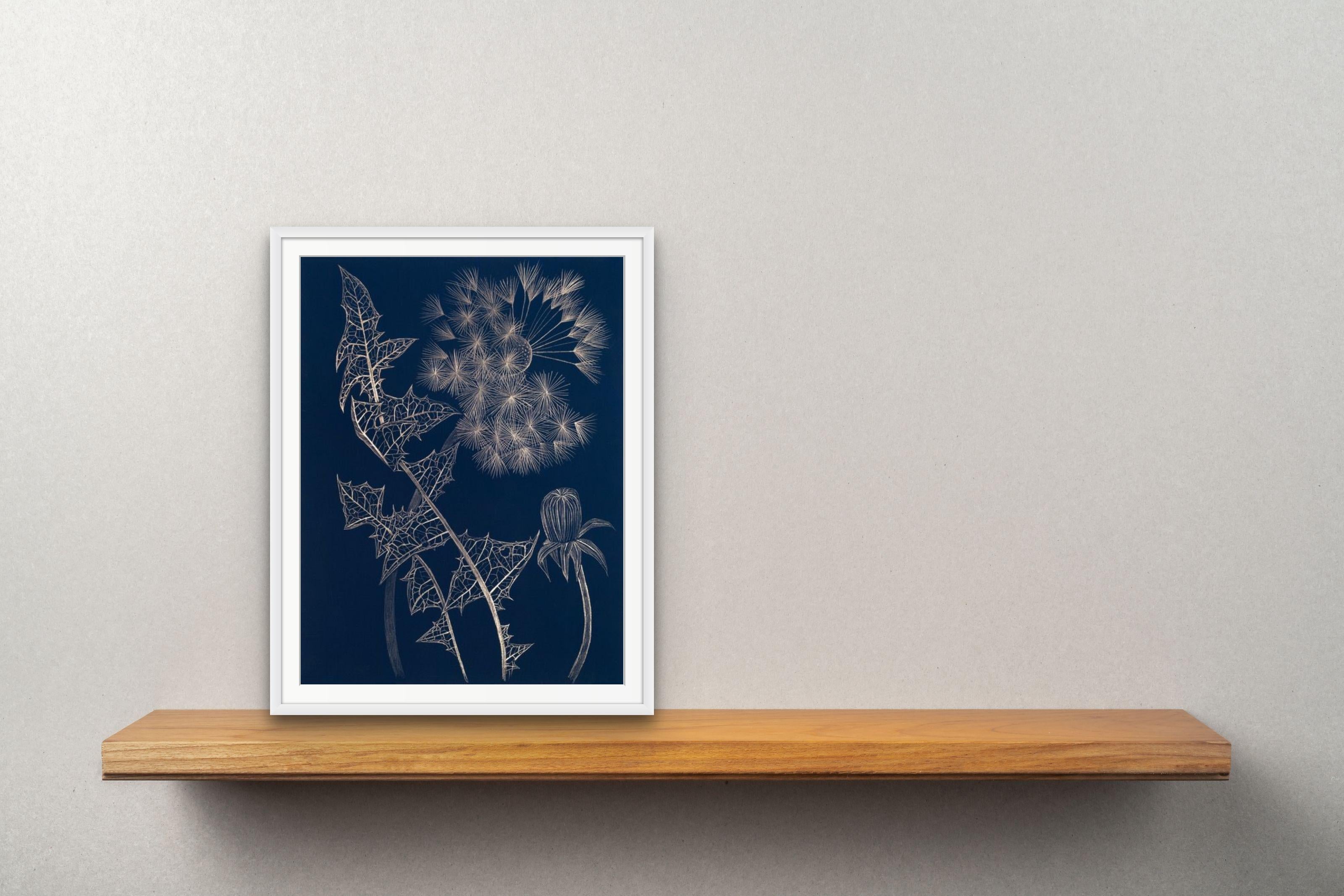 Blue Dandelion with Bud, contemporary realist botanical goldpoint drawing - Art by Margot Glass