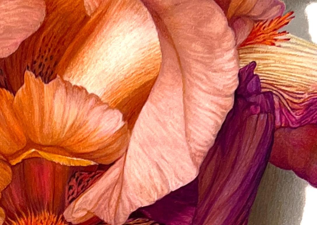 Snapshot Série n° 2 (Iris), dessin de nature morte au crayon en couleur photoréaliste - Art de David Morrison