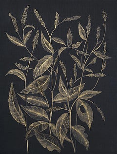 Lady's Thumb, gold acrylic ink botanical still life drawing