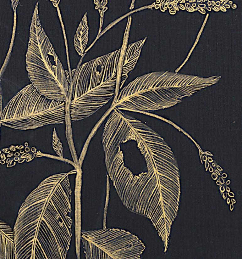 Lady's Thumb, gold acrylic ink botanical still life drawing - Art by Margot Glass