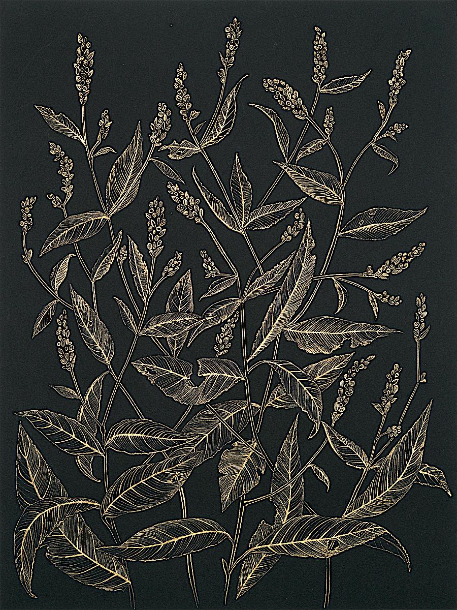 Landscape Art Margot Glass - Le pouce de dame, dessin de nature morte botanique à l'encre acrylique dorée