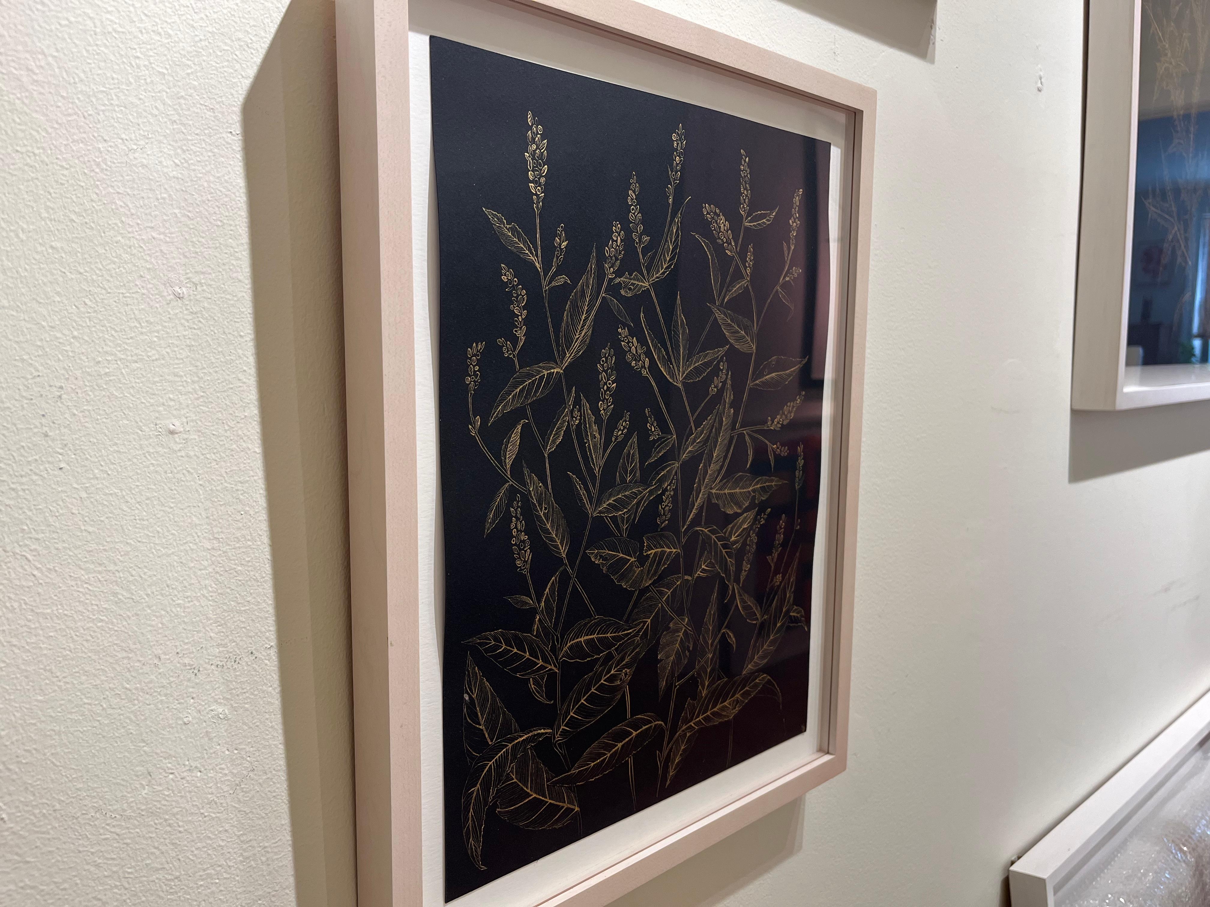 Le pouce de dame, dessin de nature morte botanique à l'encre acrylique dorée en vente 1