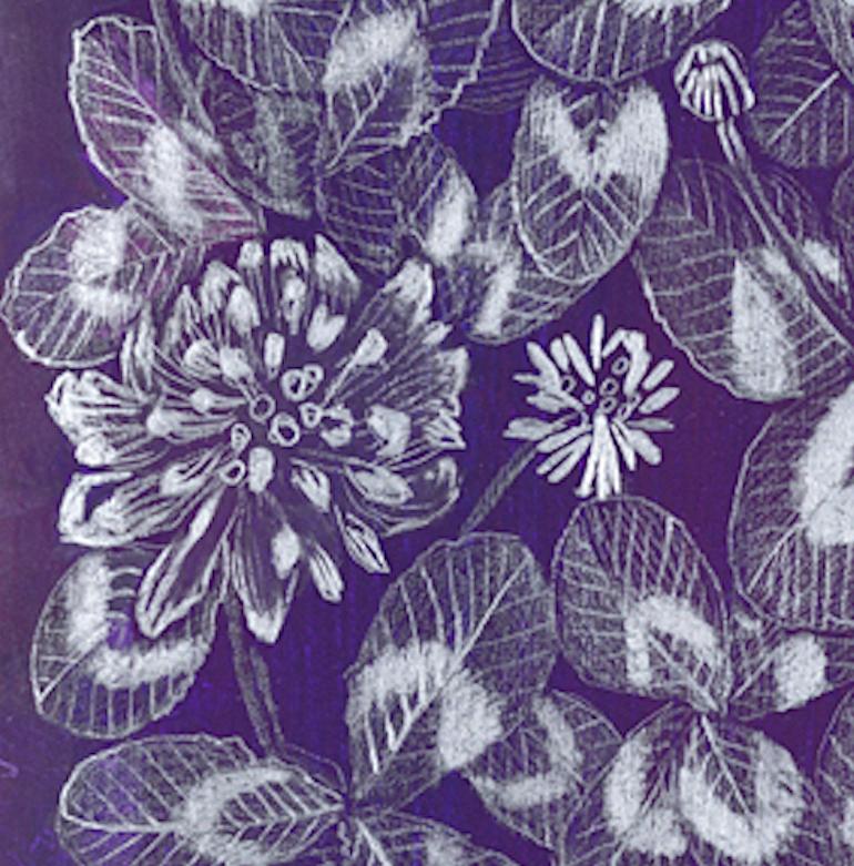 Clover (purple), patterned floral still life drawing - Art by Margot Glass