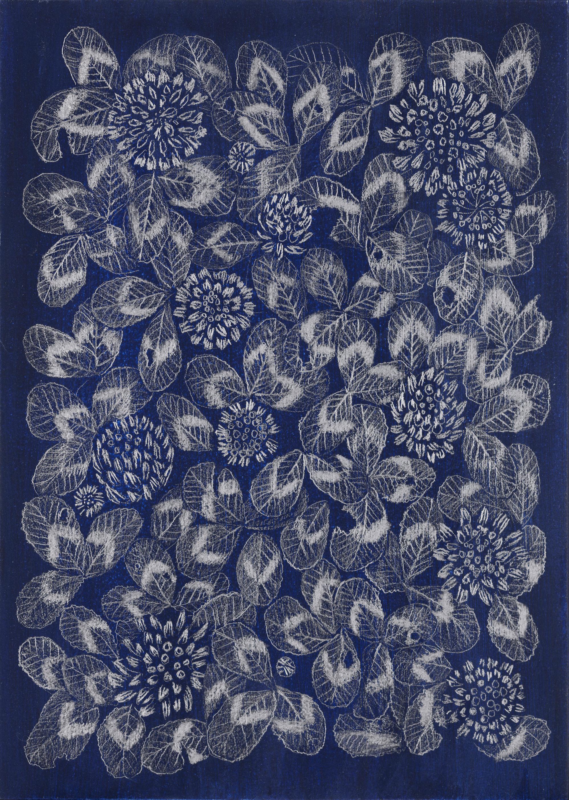 Margot Glass Still-Life - Blue Clover 2, patterned floral still life drawing