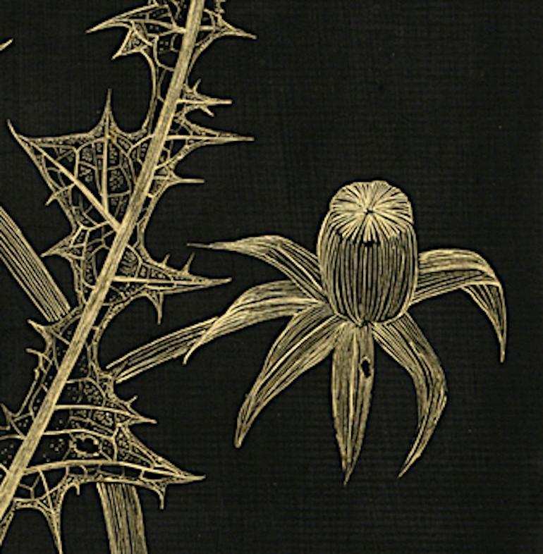 Two Dandelions with Bud, gold acrylic ink botanical still life on panel - Art by Margot Glass