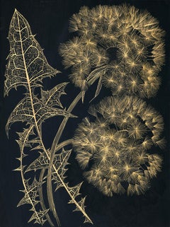 Two Dandelions, gold ink botanical still life drawing