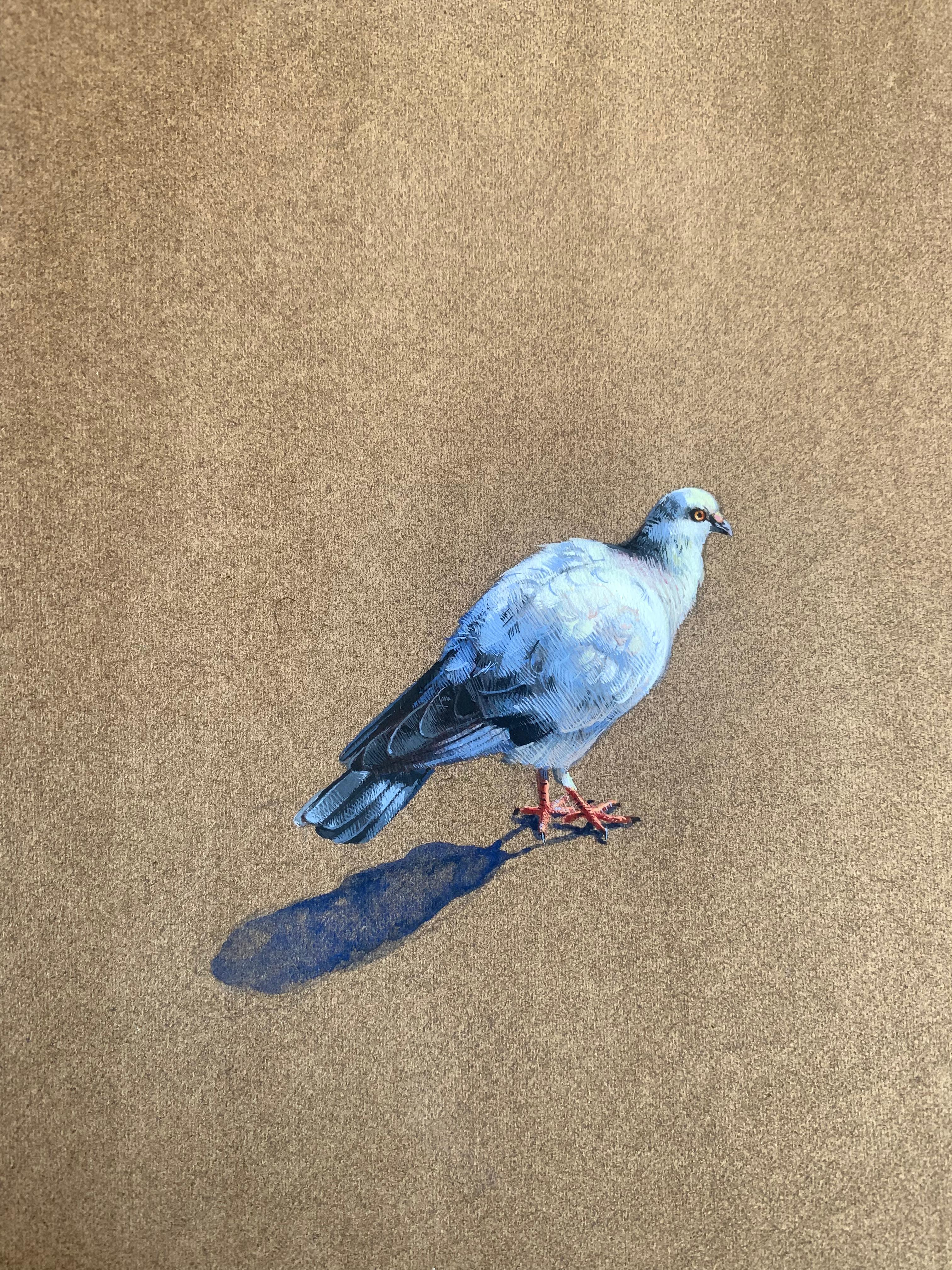 In der Miniatur Pigeon 1 zeichnet Dina Brodsky den notorisch unerwünschten Vogel liebevoll mit leuchtend blauer, violetter und perlgrauer Tusche, Gouache und Aquarellfarben nach. Der Vogel ist durch seine Schuppen zurückhaltend und wirkt fast