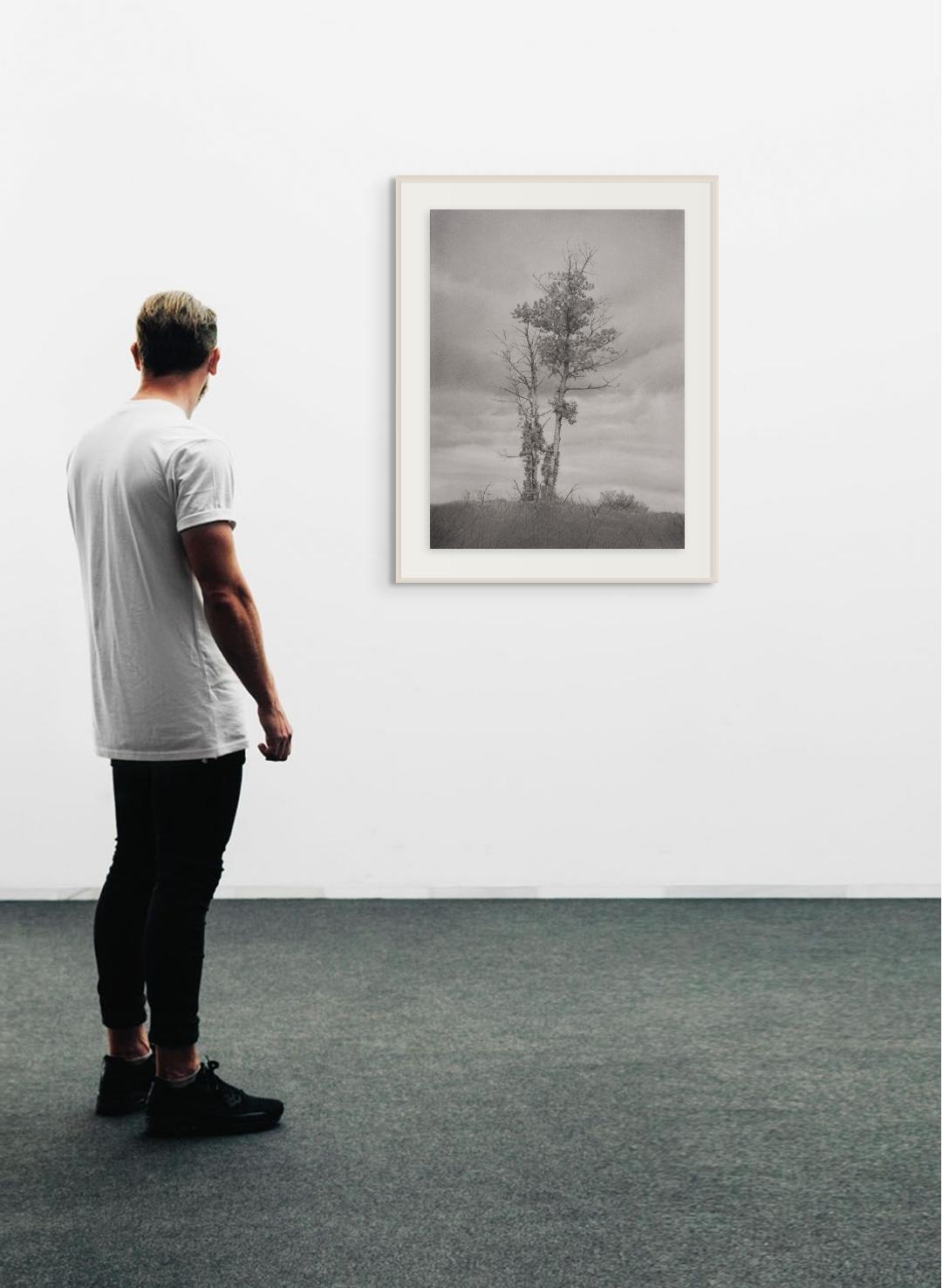 Baum und Himmel, fotorealistische Graphit-Landschaftszeichnung, 2022 (Fotorealismus), Art, von Mary Reilly
