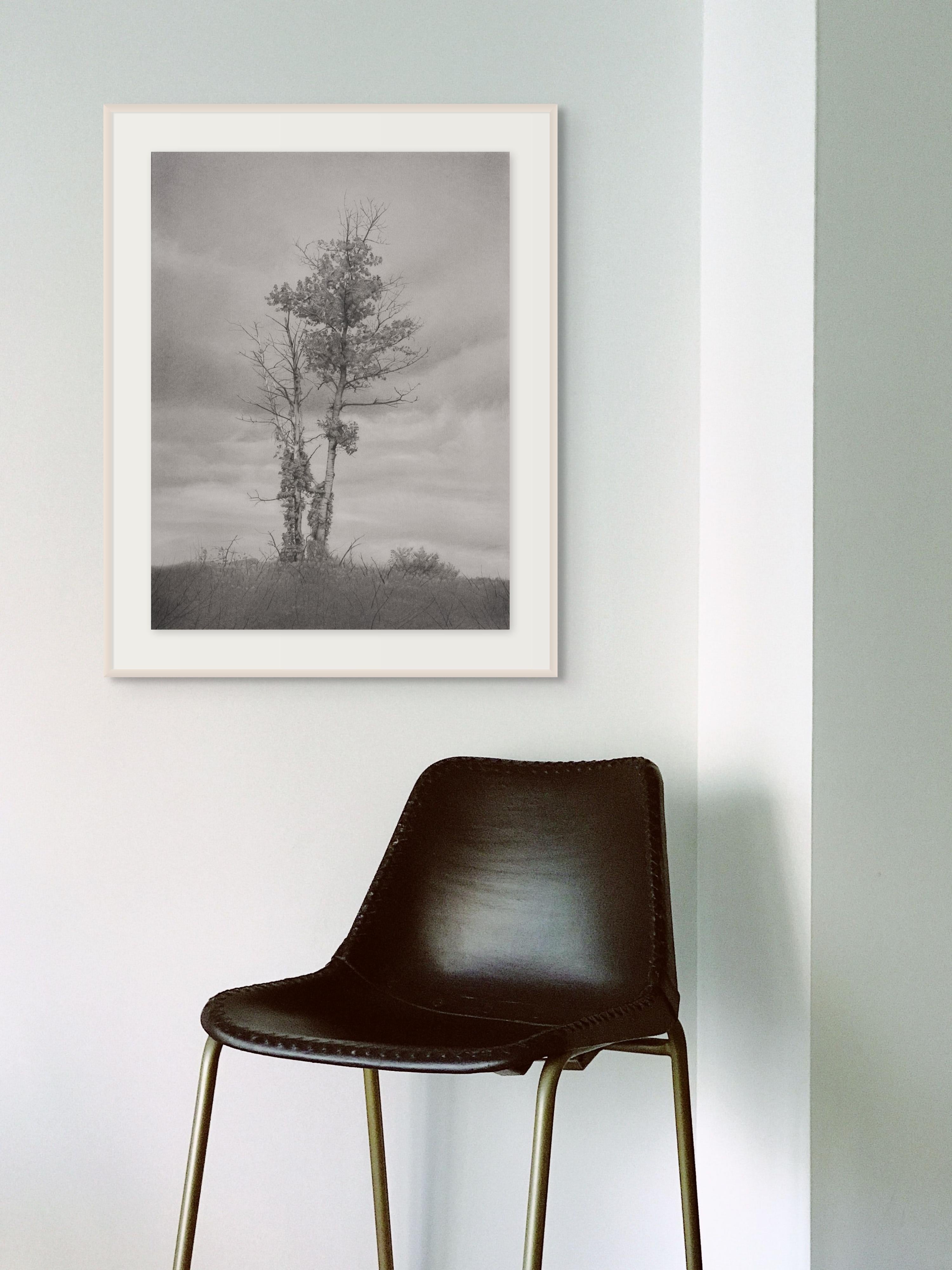 Baum und Himmel, fotorealistische Graphit-Landschaftszeichnung, 2022 (Grau), Landscape Art, von Mary Reilly