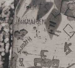 Graffiti Tree 5, photorealist graphite landscape drawing, 2022