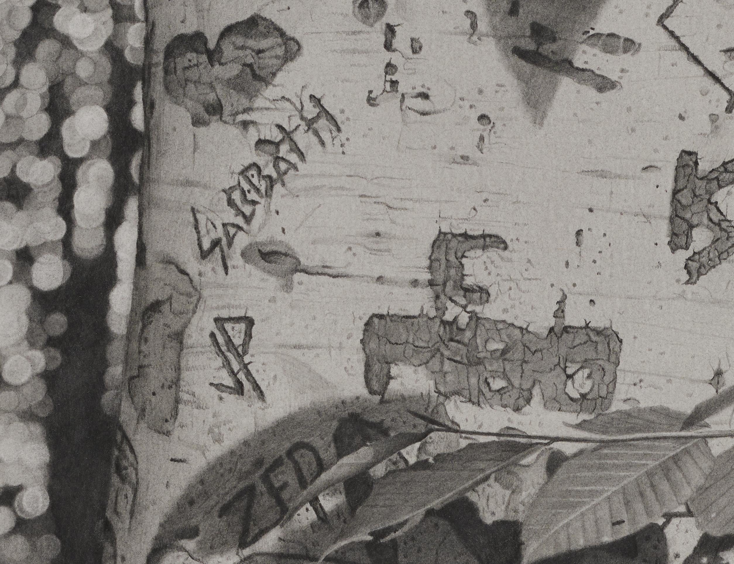 Graffiti-Baum 5, fotorealistische Graphit-Landschaftszeichnung, 2022 2