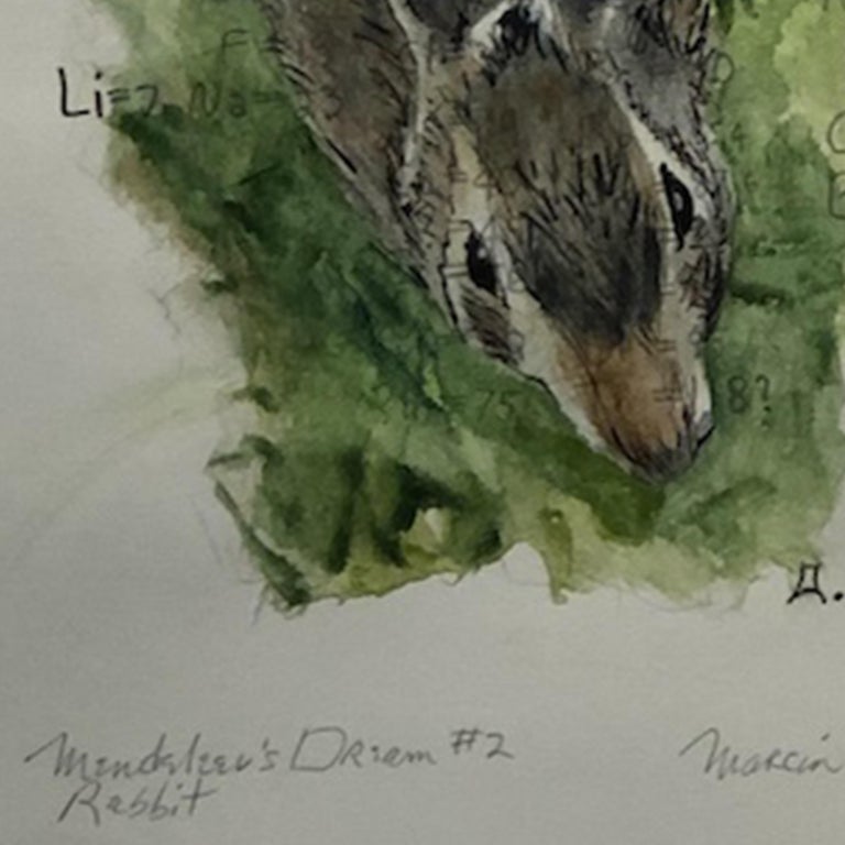 Marcia Scanlon - Rabbit, Mendeleev’s Dream Series, watercolor collage ...