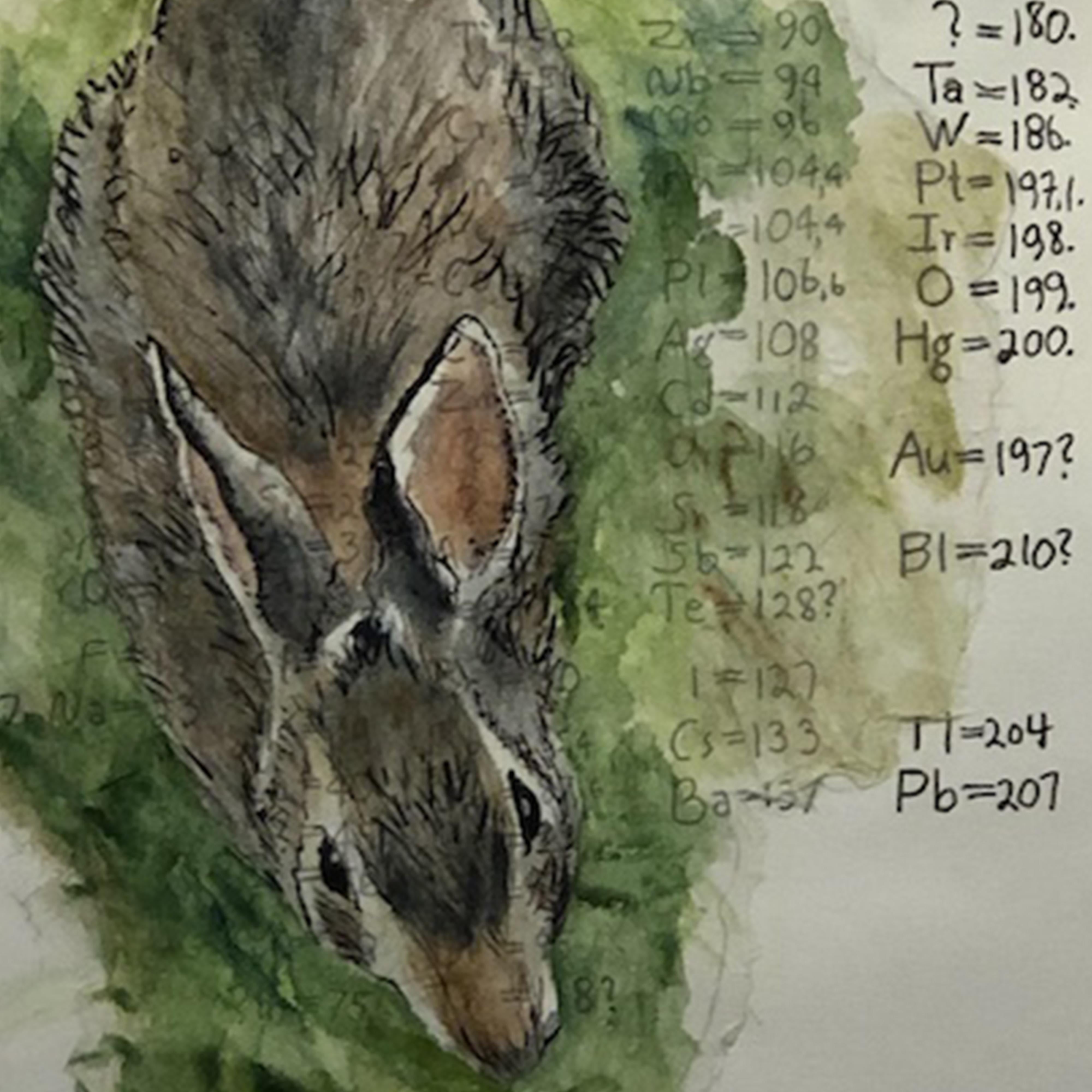 Rabbit, Mendeleev’s Dream Series, watercolor collage on layered paper - Art by Marcia Scanlon