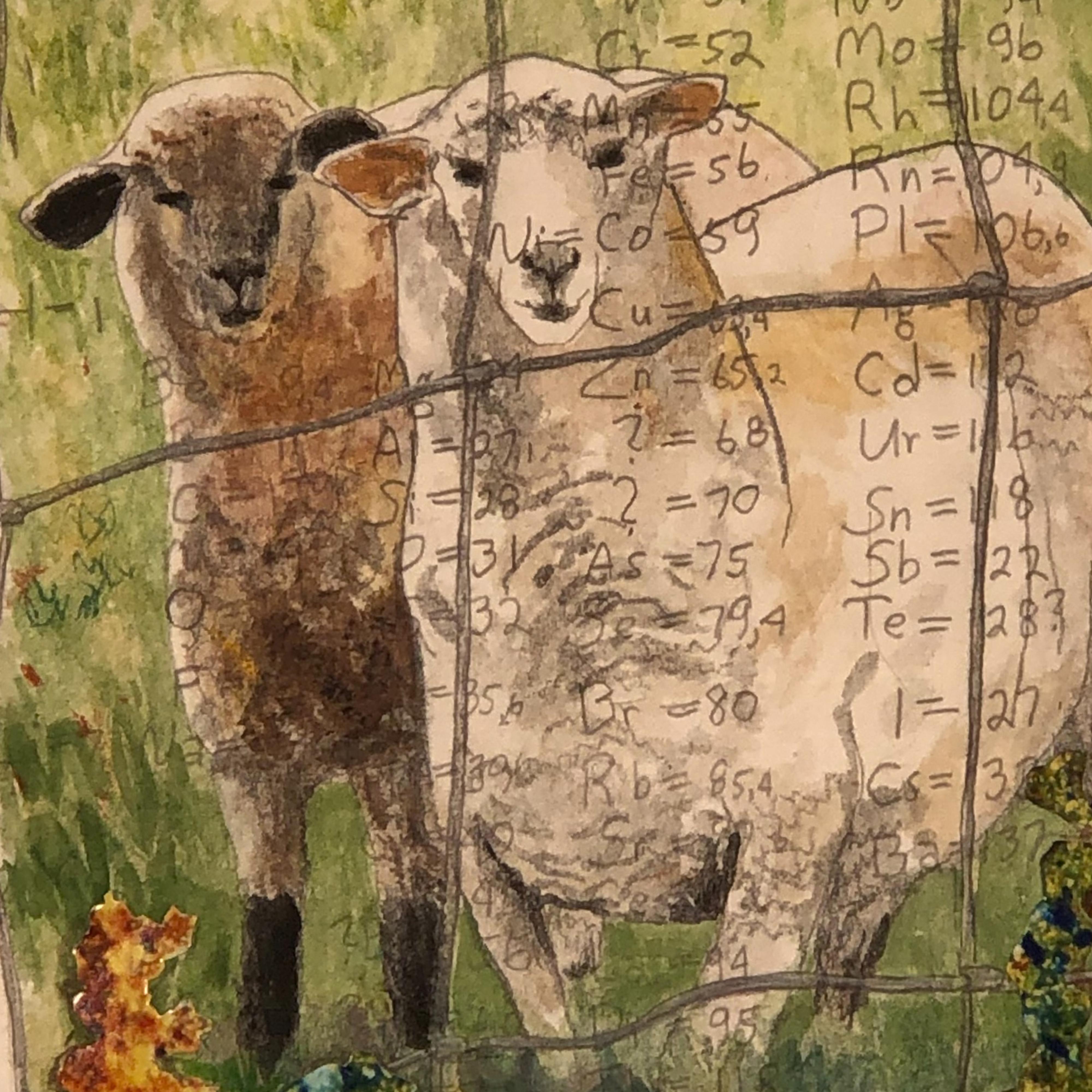 Sheep, Mendeleev’s Dream, Watercolor, Photocollage, Pencil, Ink on Layered paper - Art by Marcia Scanlon