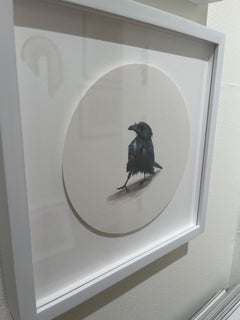 Raven 1, realist gouache on paper miniature bird portrait, 2023