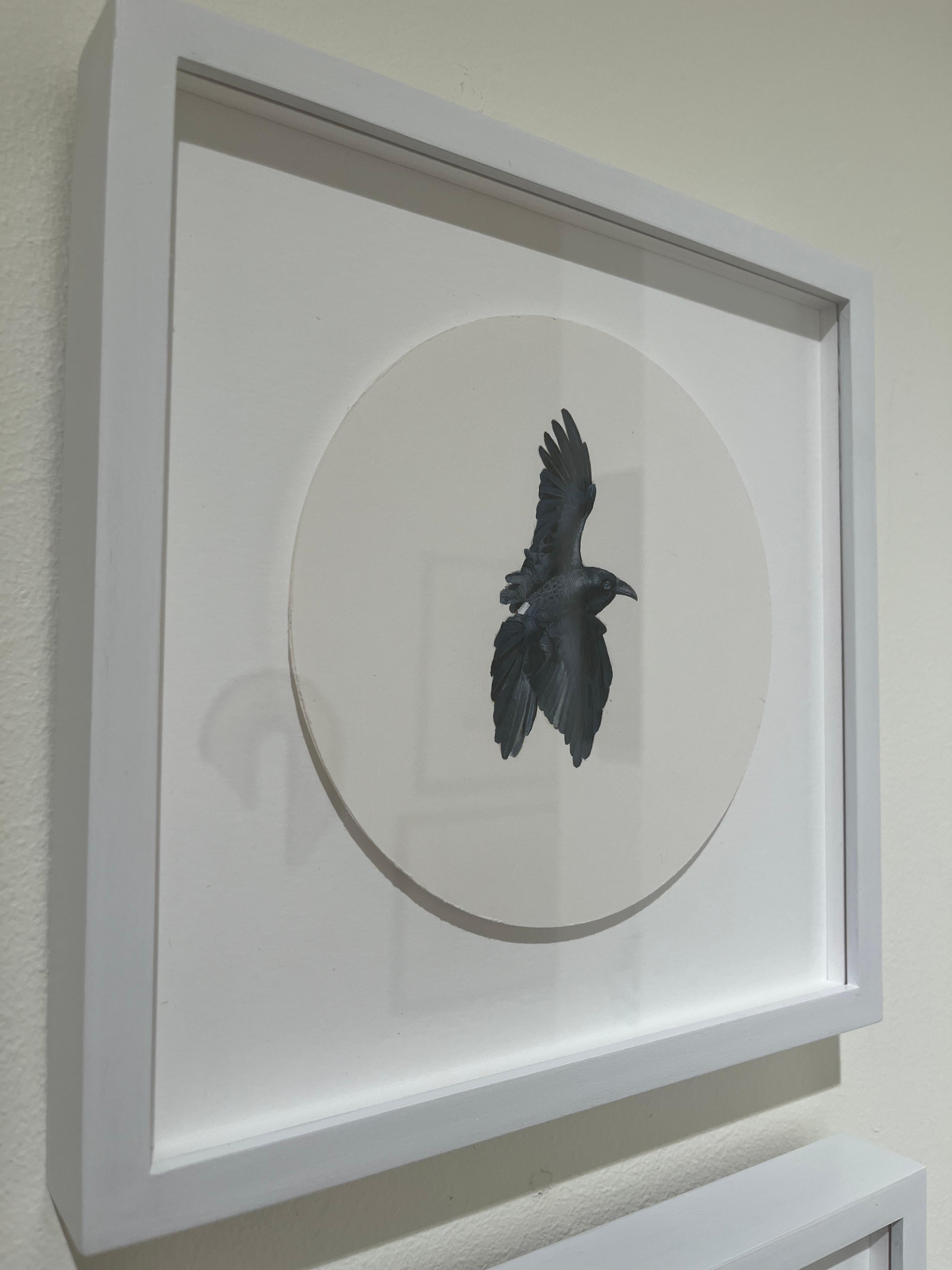 Raven 2, realist gouache on paper miniature bird portrait, 2023 - Art by Dina Brodsky