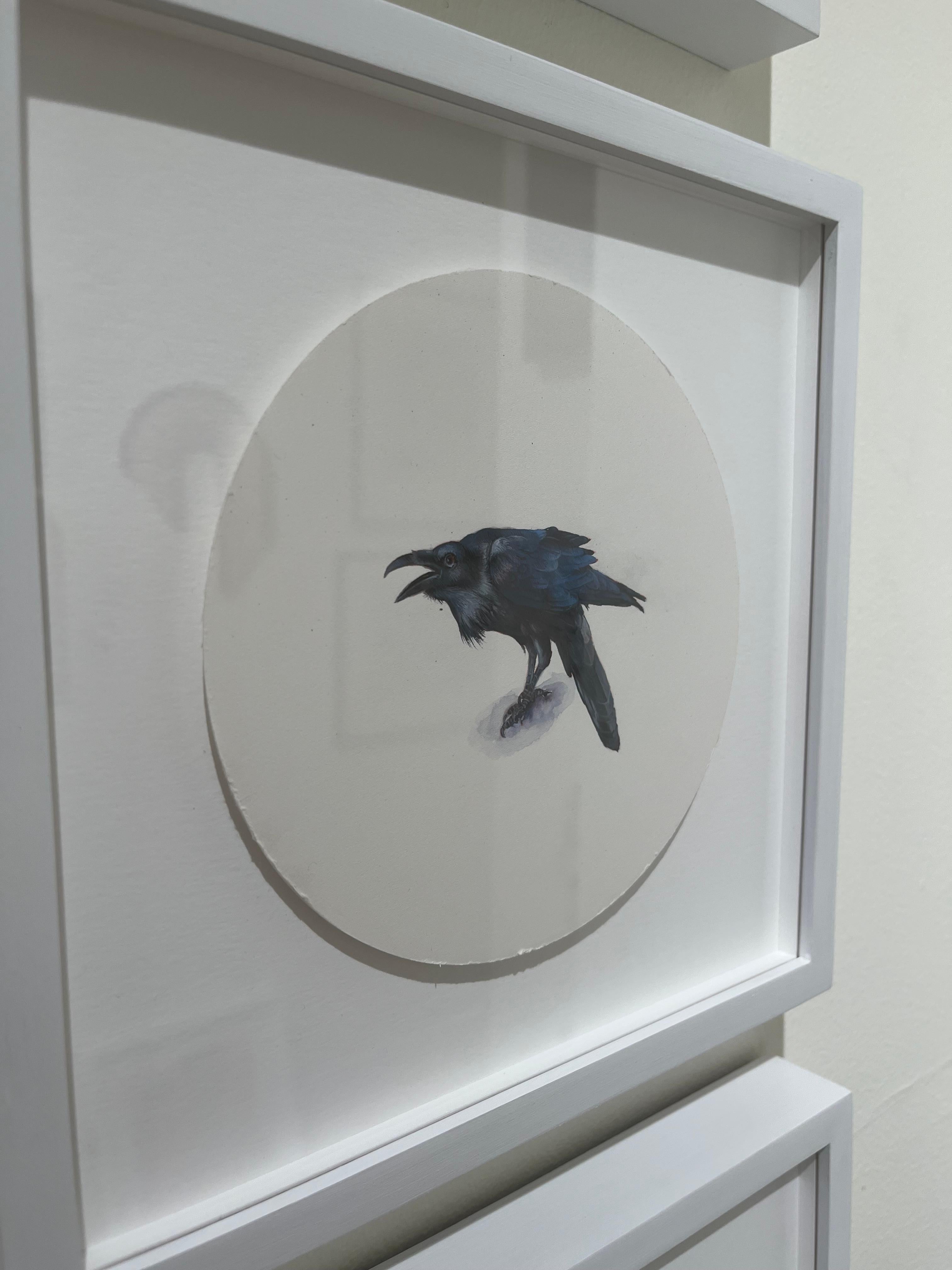 Raven 3, realist gouache on paper miniature bird portrait, 2023 - Art by Dina Brodsky