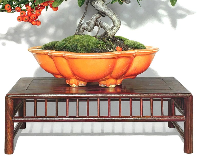 David Morrison Pyracantha Bonsai, 2023, hyperrealist drawing