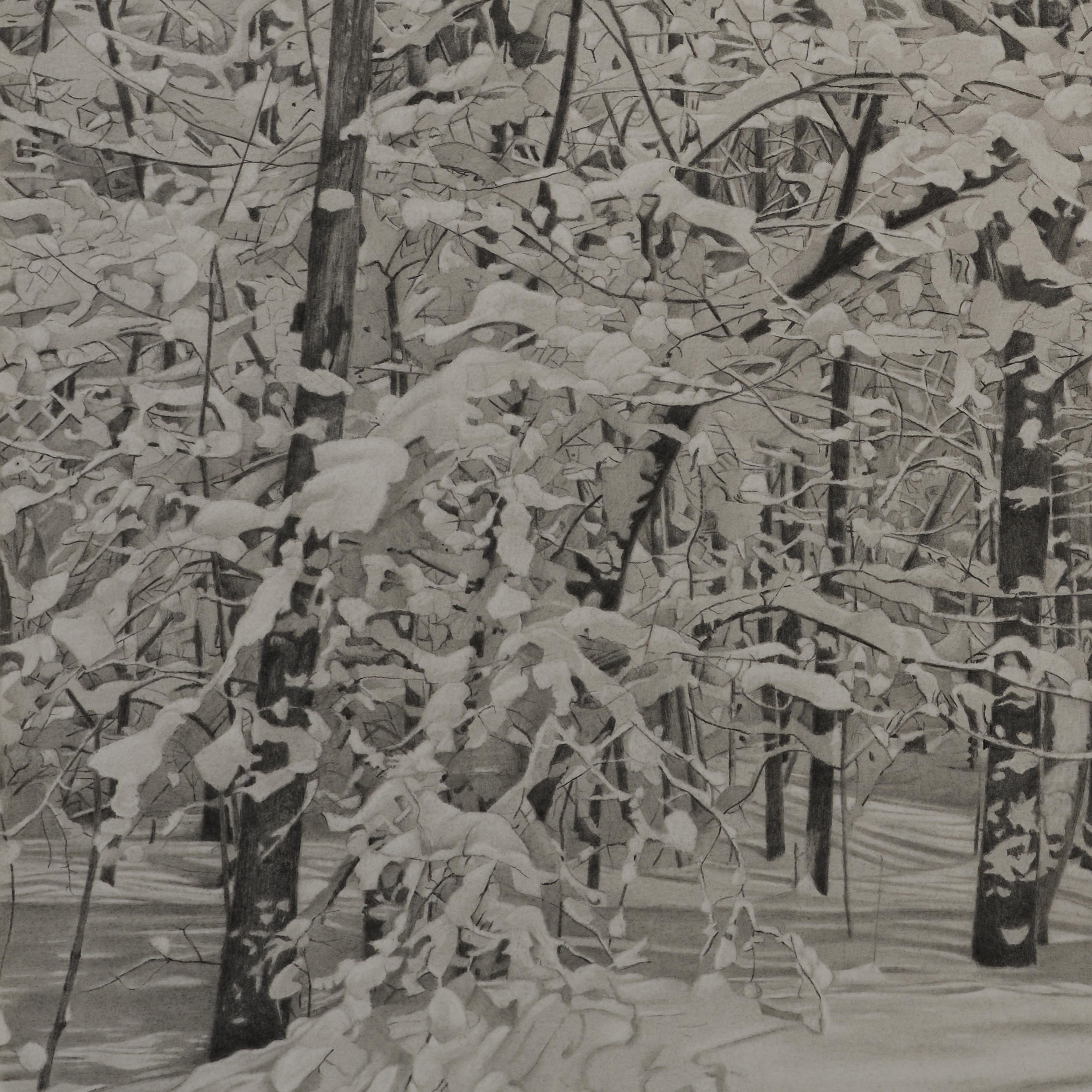 Snowy Woods, fotorealistische Graphit-Landschaftszeichnung, 2023 – Art von Mary Reilly