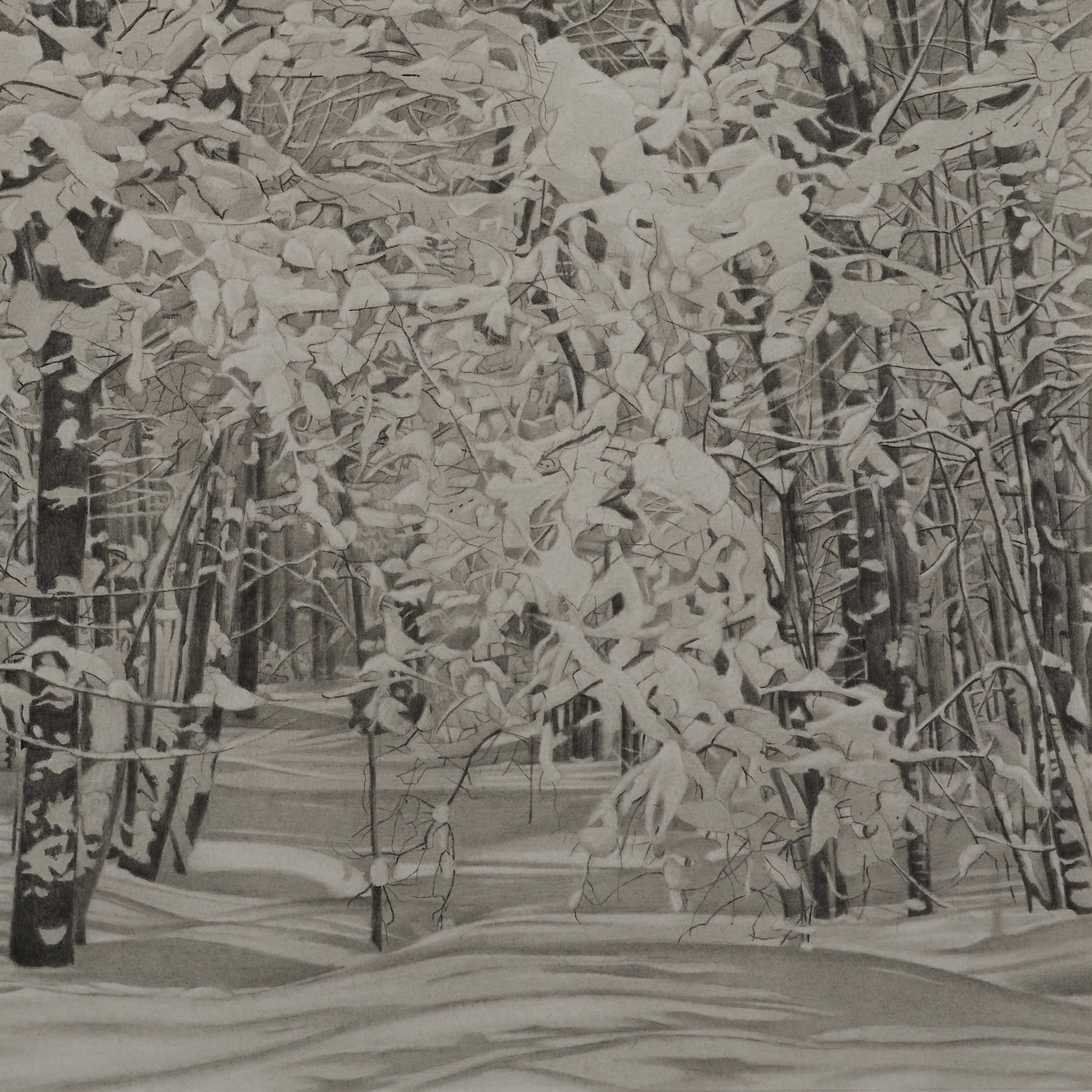 Snowy Woods, fotorealistische Graphit-Landschaftszeichnung, 2023 (Fotorealismus), Art, von Mary Reilly